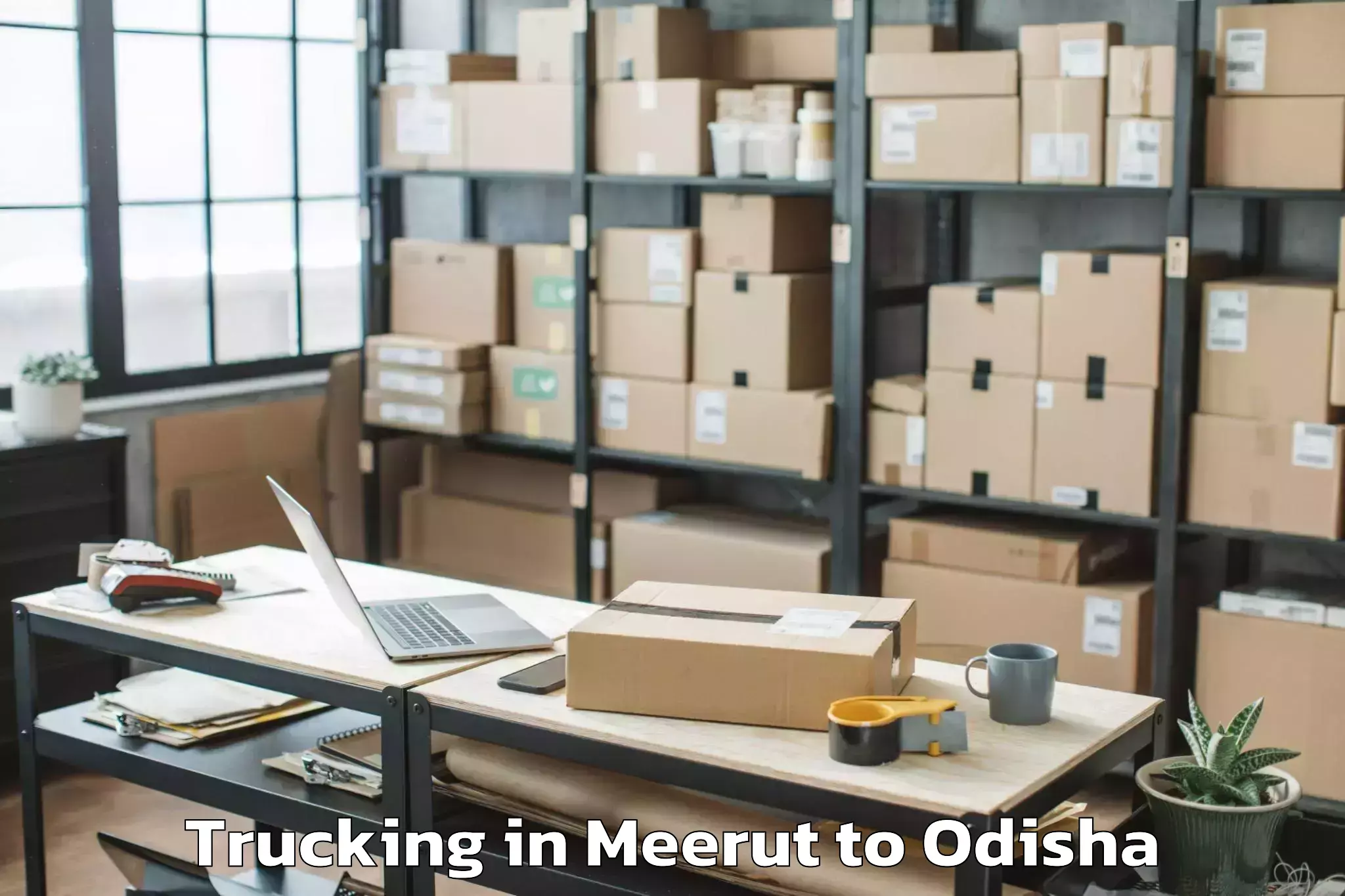 Easy Meerut to Bhuban Trucking Booking